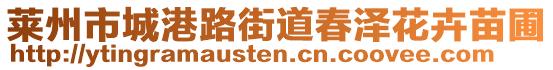 萊州市城港路街道春澤花卉苗圃