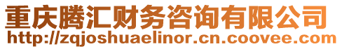 重慶騰匯財務咨詢有限公司