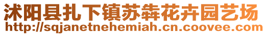 沭陽縣扎下鎮蘇犇花卉園藝場
