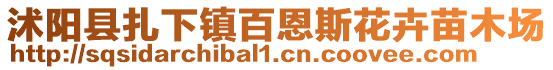 沭陽縣扎下鎮百恩斯花卉苗木場