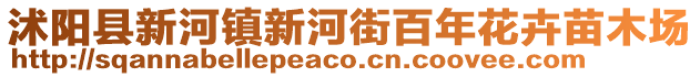沭陽縣新河鎮新河街百年花卉苗木場