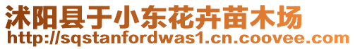 沭陽縣于小東花卉苗木場