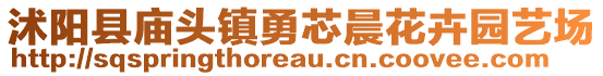 沭陽(yáng)縣廟頭鎮(zhèn)勇芯晨花卉園藝場(chǎng)