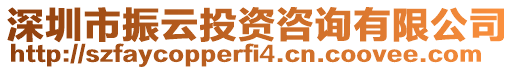 深圳市振云投資咨詢有限公司