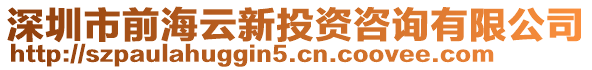 深圳市前海云新投資咨詢有限公司