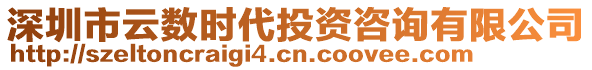 深圳市云數(shù)時代投資咨詢有限公司