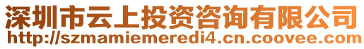 深圳市云上投資咨詢有限公司