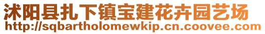沭陽縣扎下鎮寶建花卉園藝場