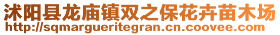 沭陽(yáng)縣龍廟鎮(zhèn)雙之?；ɑ苊缒緢?chǎng)