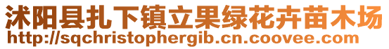 沭陽(yáng)縣扎下鎮(zhèn)立果綠花卉苗木場(chǎng)