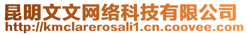 昆明文文網(wǎng)絡(luò)科技有限公司