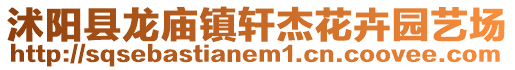 沭陽縣龍廟鎮軒杰花卉園藝場