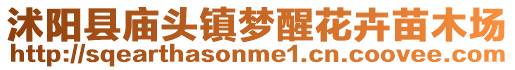 沭陽縣廟頭鎮(zhèn)夢醒花卉苗木場