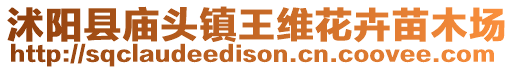 沭陽縣廟頭鎮(zhèn)王維花卉苗木場