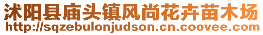 沭陽縣廟頭鎮(zhèn)風尚花卉苗木場