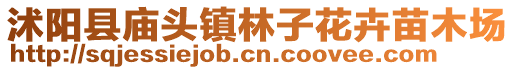 沭陽縣廟頭鎮林子花卉苗木場