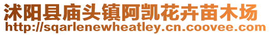 沭陽縣廟頭鎮(zhèn)阿凱花卉苗木場