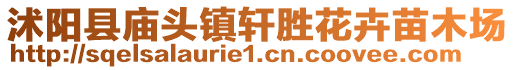 沭陽縣廟頭鎮(zhèn)軒勝花卉苗木場