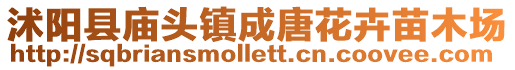 沭陽縣廟頭鎮(zhèn)成唐花卉苗木場
