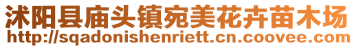 沭陽縣廟頭鎮(zhèn)宛美花卉苗木場(chǎng)
