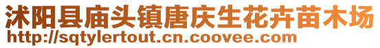沭陽縣廟頭鎮唐慶生花卉苗木場