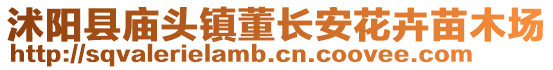 沭陽縣廟頭鎮(zhèn)董長安花卉苗木場