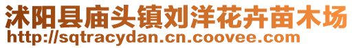 沭陽縣廟頭鎮劉洋花卉苗木場