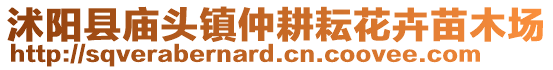 沭陽縣廟頭鎮仲耕耘花卉苗木場