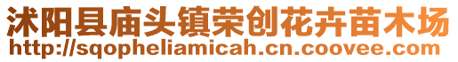沭陽縣廟頭鎮榮創花卉苗木場