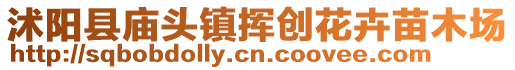 沭陽縣廟頭鎮揮創花卉苗木場