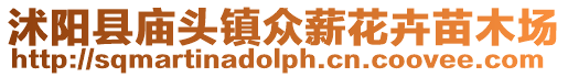 沭陽縣廟頭鎮眾薪花卉苗木場