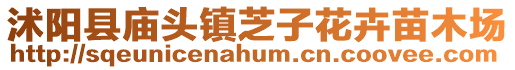 沭陽縣廟頭鎮芝子花卉苗木場