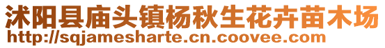 沭陽縣廟頭鎮楊秋生花卉苗木場
