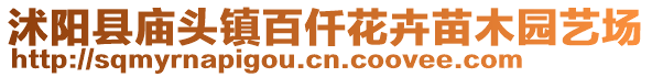 沭陽縣廟頭鎮百仟花卉苗木園藝場