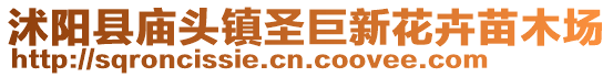 沭陽縣廟頭鎮圣巨新花卉苗木場
