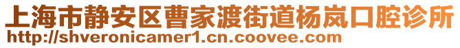 上海市靜安區曹家渡街道楊嵐口腔診所