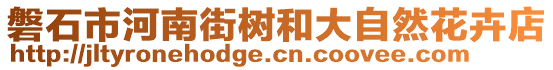 磐石市河南街樹和大自然花卉店