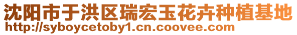 沈陽市于洪區(qū)瑞宏玉花卉種植基地