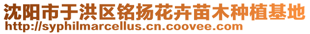 沈陽市于洪區(qū)銘揚花卉苗木種植基地