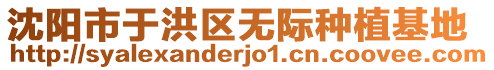 沈陽市于洪區(qū)無際種植基地