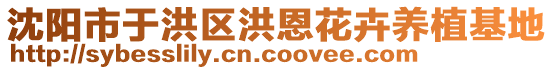 沈陽(yáng)市于洪區(qū)洪恩花卉養(yǎng)植基地