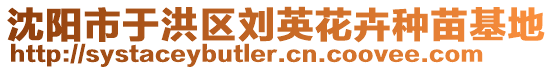 沈陽市于洪區(qū)劉英花卉種苗基地