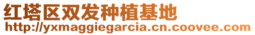 紅塔區(qū)雙發(fā)種植基地