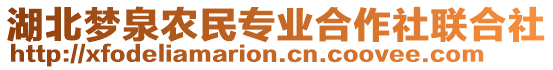 湖北夢泉農(nóng)民專業(yè)合作社聯(lián)合社