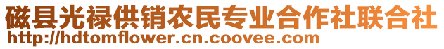 磁縣光祿供銷農(nóng)民專業(yè)合作社聯(lián)合社