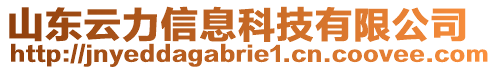 山東云力信息科技有限公司