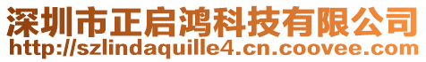 深圳市正啟鴻科技有限公司