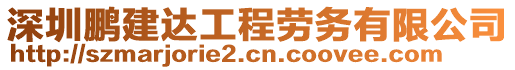 深圳鵬建達(dá)工程勞務(wù)有限公司