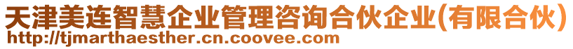 天津美連智慧企業(yè)管理咨詢合伙企業(yè)(有限合伙)