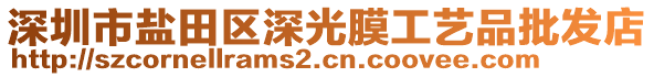 深圳市鹽田區(qū)深光膜工藝品批發(fā)店